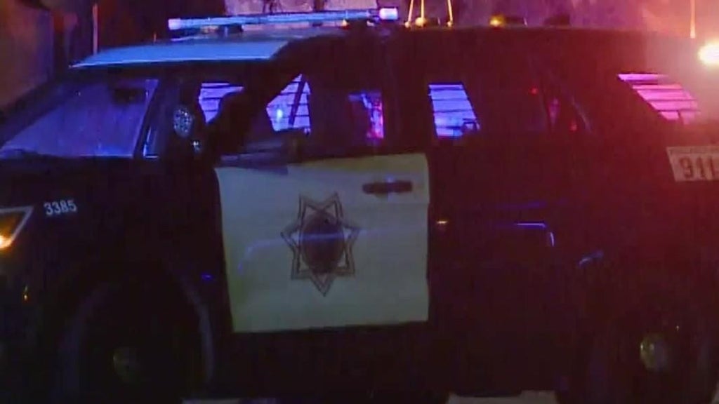 San Jose teens involved in traffic stop that preceded police shooting, attempted carjacking — CBS Bay Area (KPIX), Lakeville Schools news