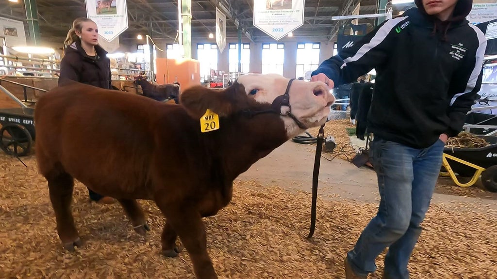Spotlight on beef as Minnesota midterms near — WCCO / CBS Minnesota, Lakeville Community news