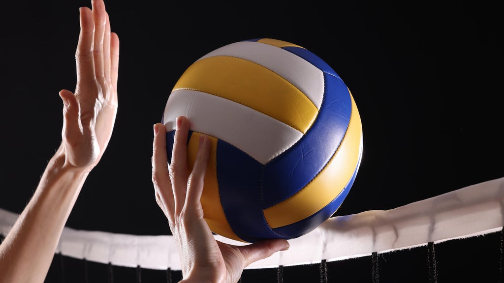 SeatGeek's first volleyball partner is the Minnesota Forge in a multiyear deal — WCCO / CBS Minnesota, Lakeville Business news