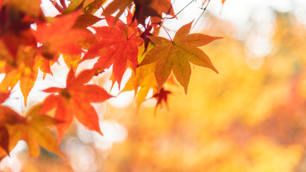 More sunny, mild late October weather in Minnesota Tuesday — WCCO / CBS Minnesota, Lakeville Business news