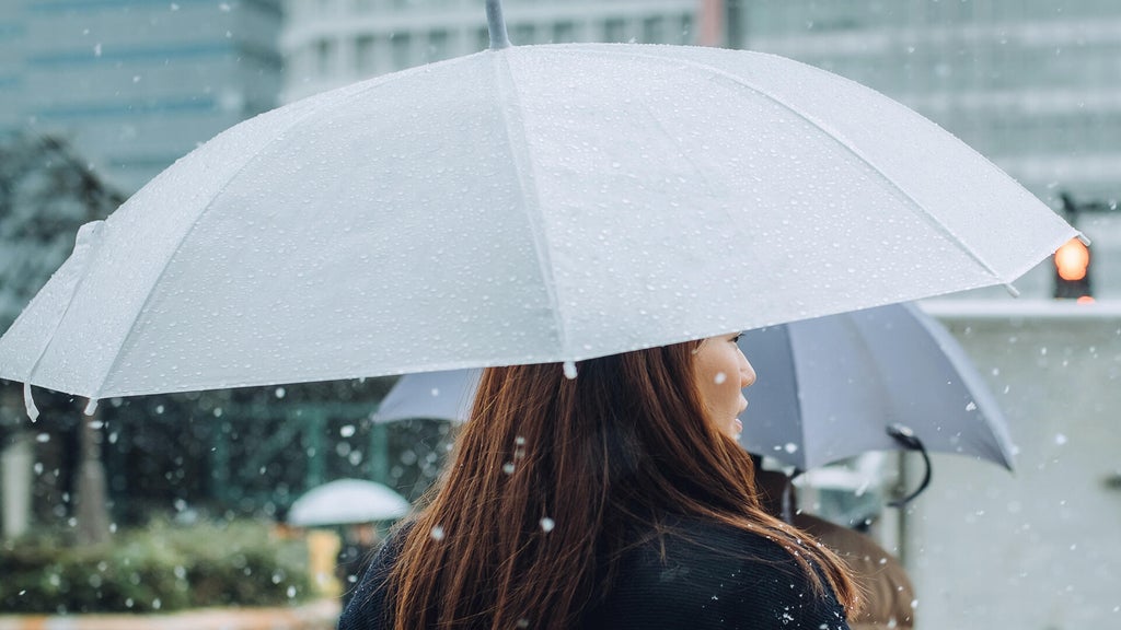 Soggy, chilly Thursday in the Twin Cities; season's first frost possible Saturday — WCCO / CBS Minnesota, Lakeville Sports news
