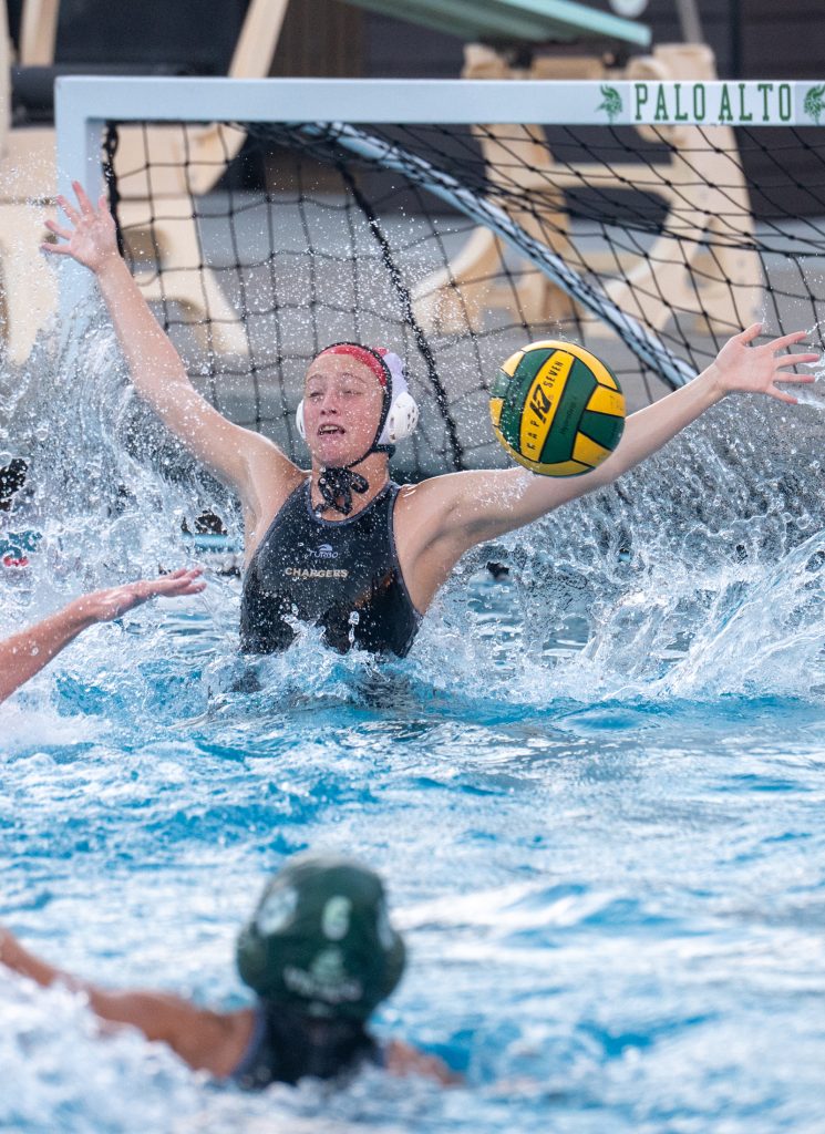 Wilcox Water Polo Caught in Vikings Rip Current — Silicon Valley Voice, Lakeville Sports news