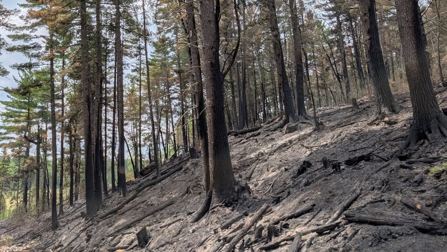 74-year-old who became separated from his family on a trail in Ely was discovered dead — KSTP 5, Lakeville Community news