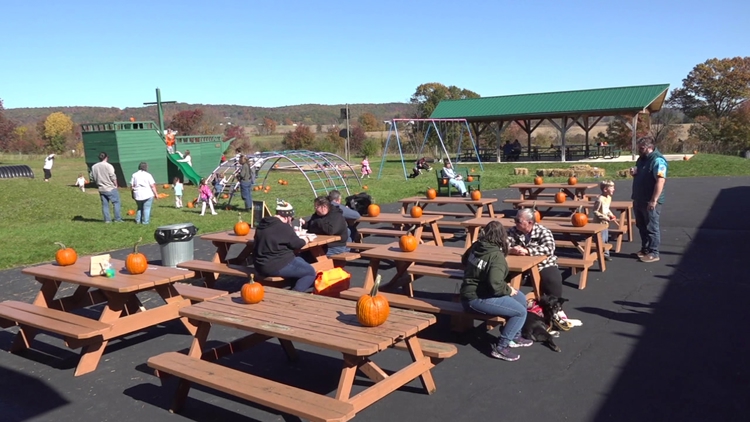 Outdoor festival in Columbia County brings together artists and businesses to connect with the community — WNEP 16 (Scranton/Wilkes-Barre), Lakeville Arts news