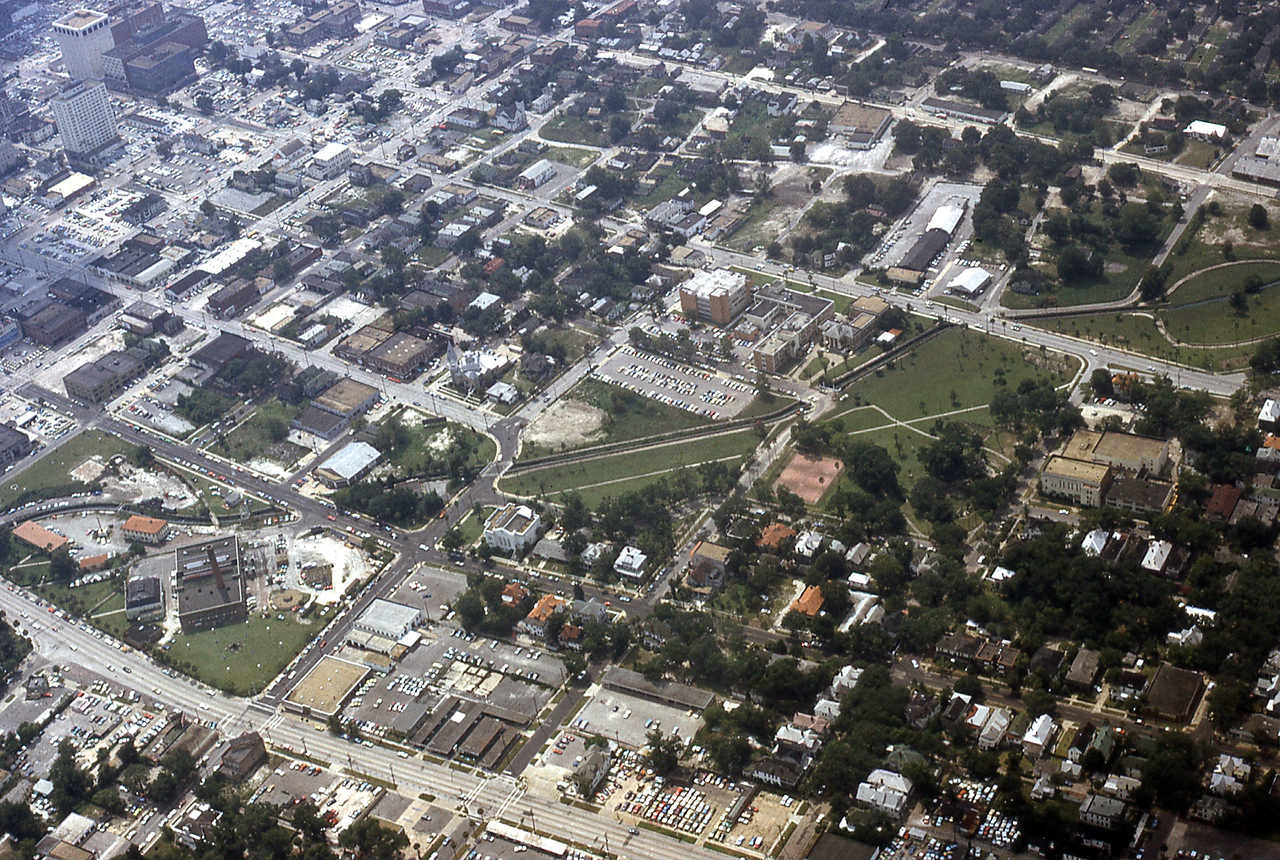 THE JAXSON | The oak tree that remembers Black Bottom — Jacksonville Today, Lakeville Schools news