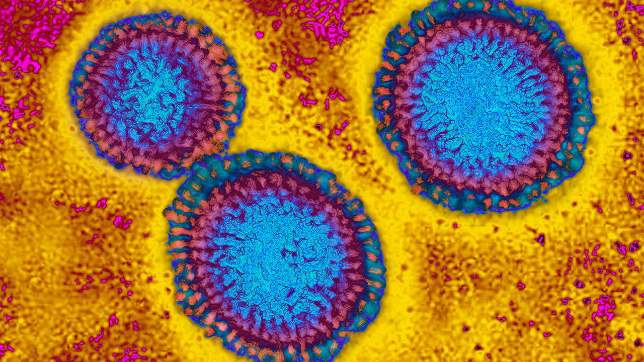 Flu hospitalizations 'slightly higher' than usual, officials urge vaccinations — FOX 9, Lakeville Health news