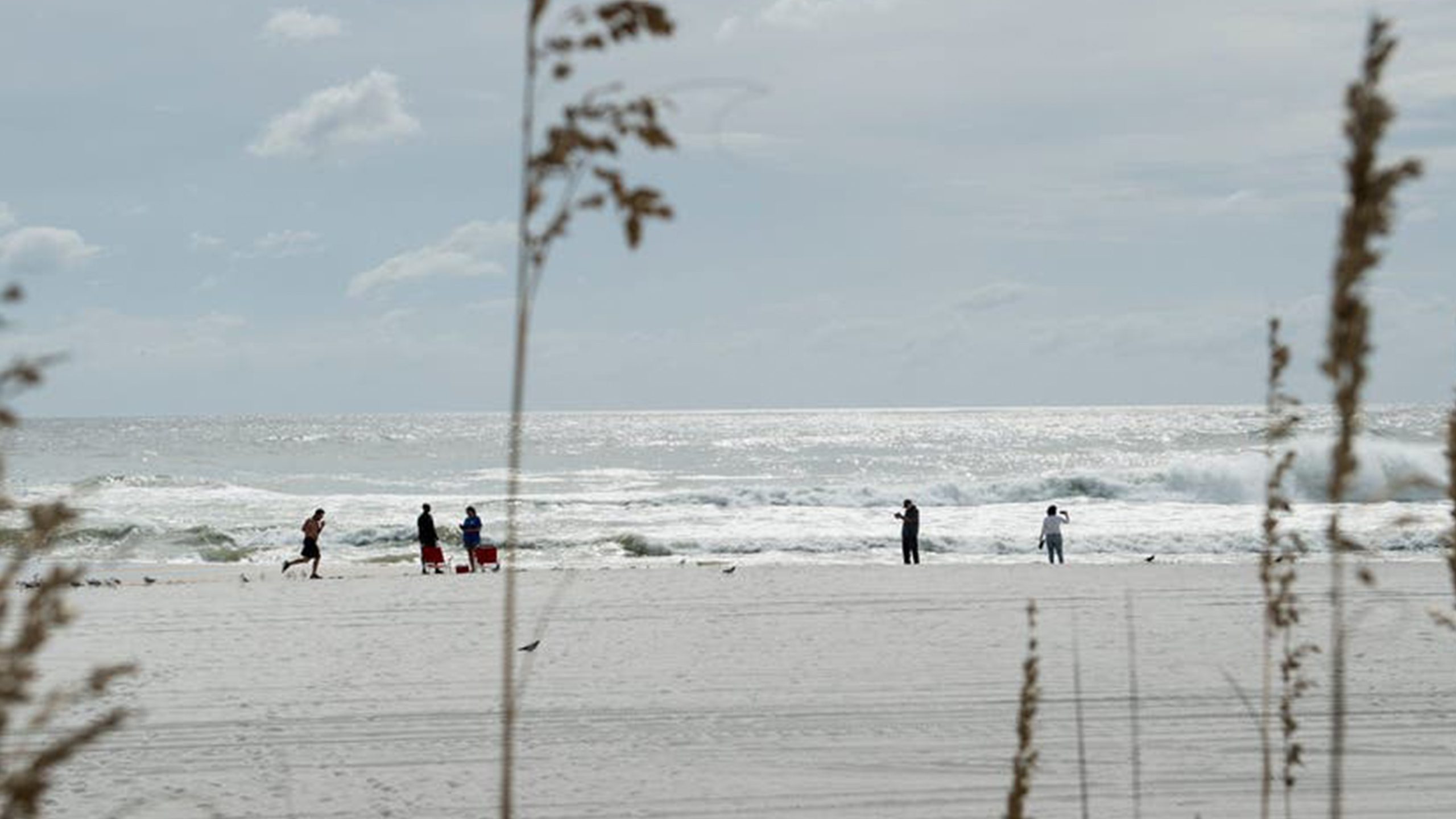 Father of 2 drowns after being caught in current trying to rescue seagull caught in fishing line — Lakeville Community news