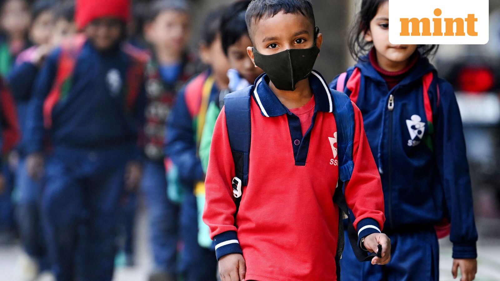 Chennai school holiday, Oct 21: Schools shut in four Tamil Nadu districts as heavy rains predicted | Check IMD alert — Mint India, Lakeville Schools news
